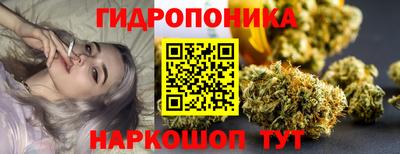 стафф Бийск