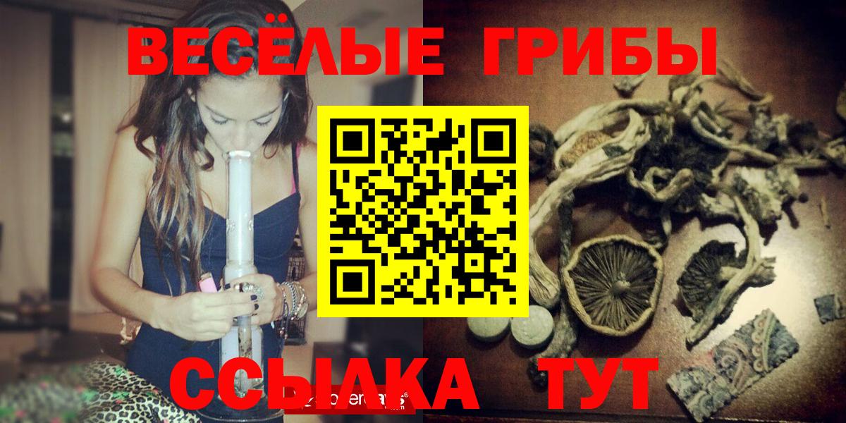 Псилоцибиновые грибы Psilocybine cubensis Канаш