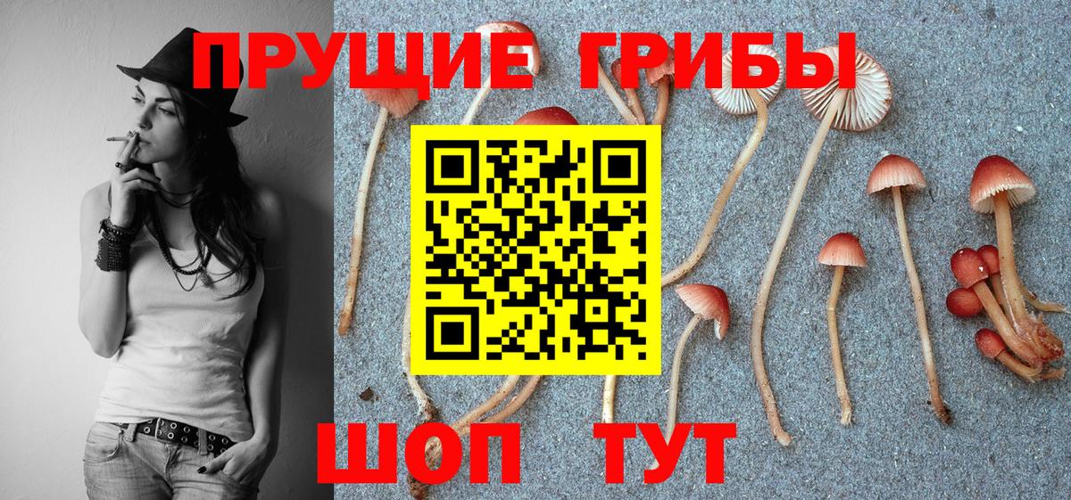 Псилоцибиновые грибы Magic Shrooms  Вход с VPN  Галлюциногенные грибы мухоморы  Канаш 